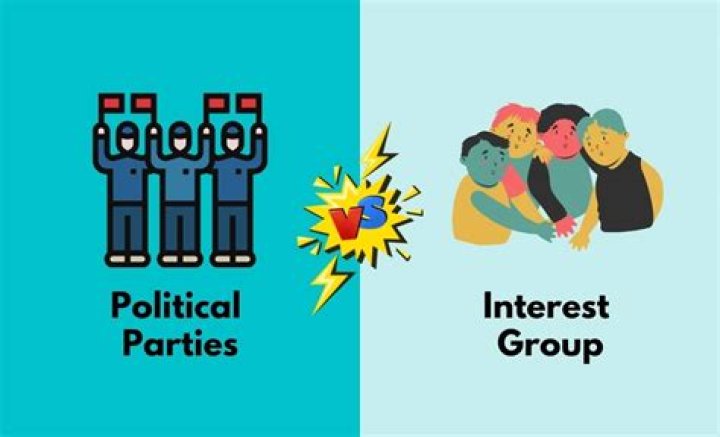 What are political special interest groups?
