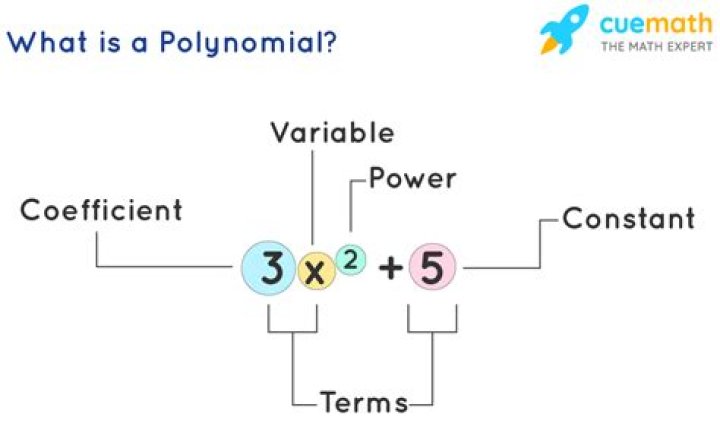 What are polynomials 5 examples?