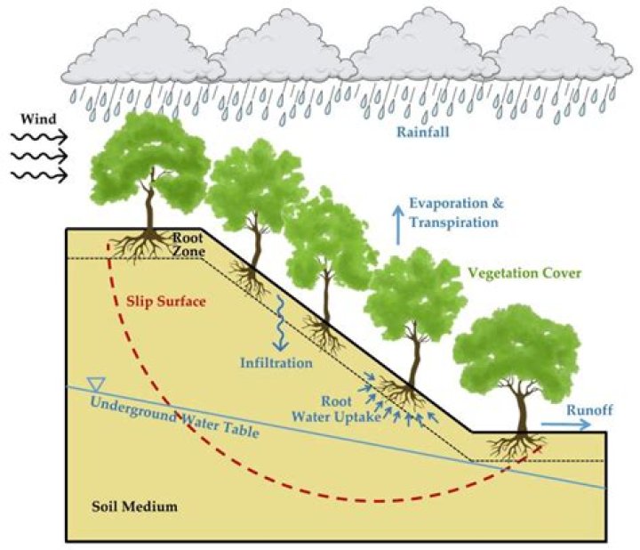 What are soil dynamics?