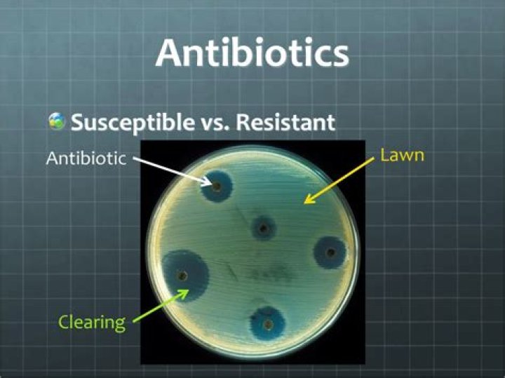 What are susceptible organisms?