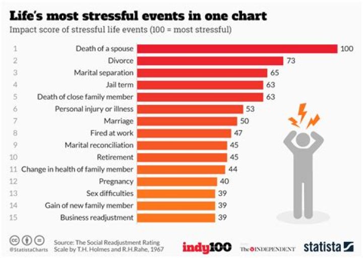 What are the 10 biggest stressors in life?