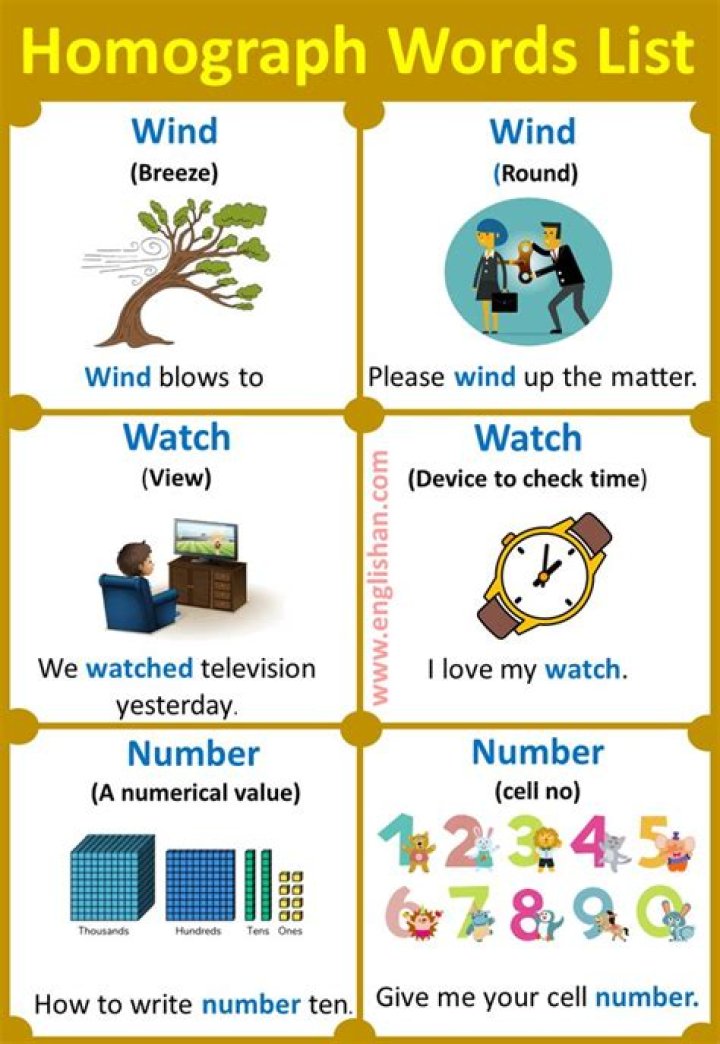 What are the 10 examples of homographs?