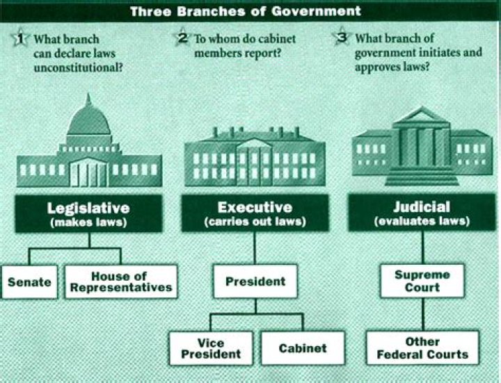 What are the 3 branches of the government?