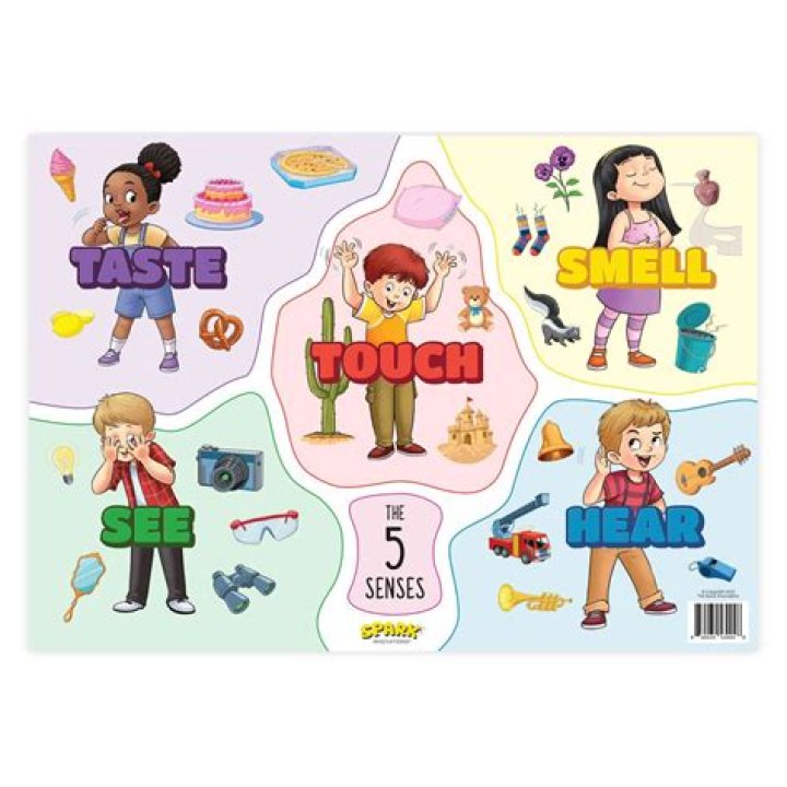 What are the 3 senses?