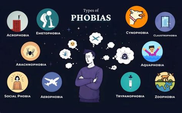 What are the 5 categories of phobias?