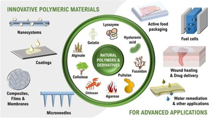 What are the 5 natural polymers?