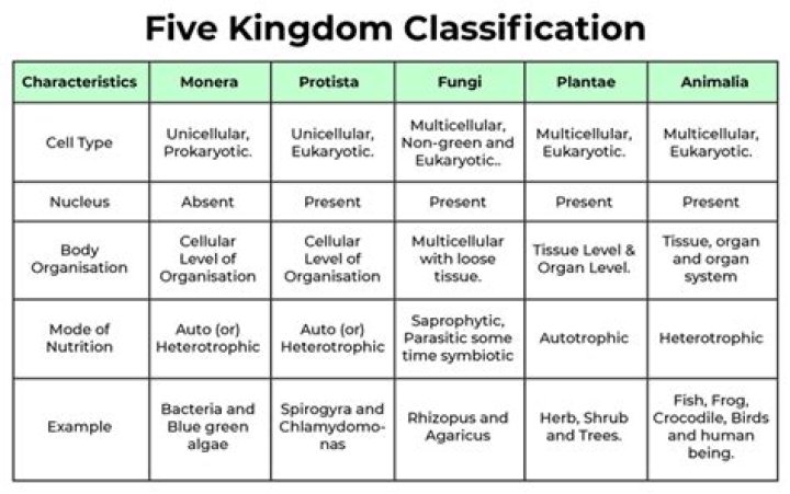 What are the 6 kingdoms and give an example of each?