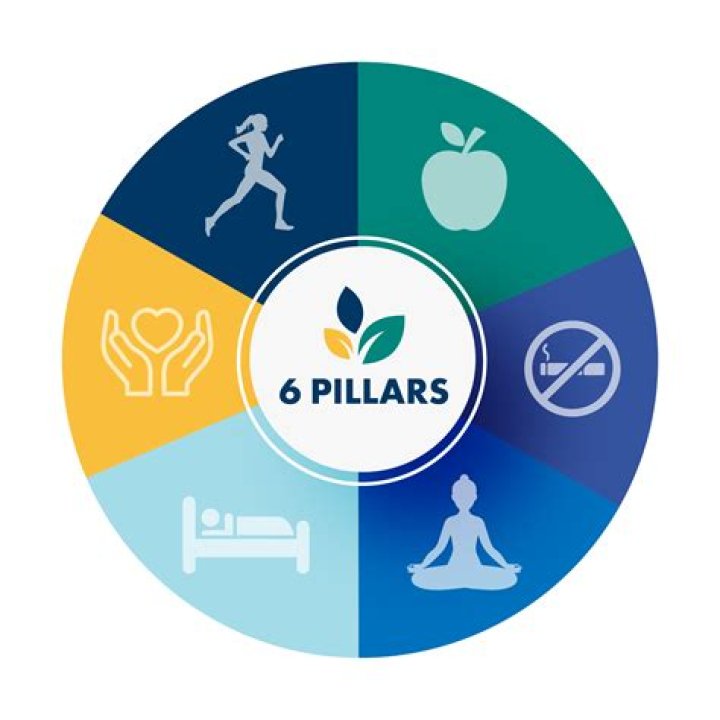 What are the 6 pillars of respect?