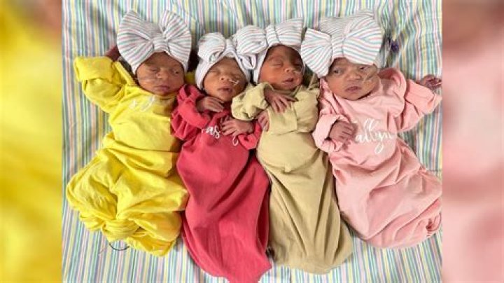 What are the chances of having identical sextuplets?