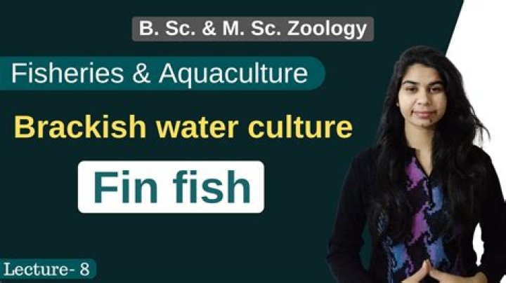 What are the characteristics of brackish water
