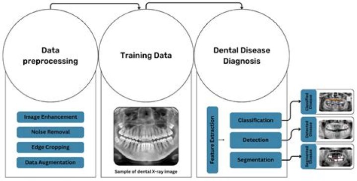 What are the different application of Dental Informatics