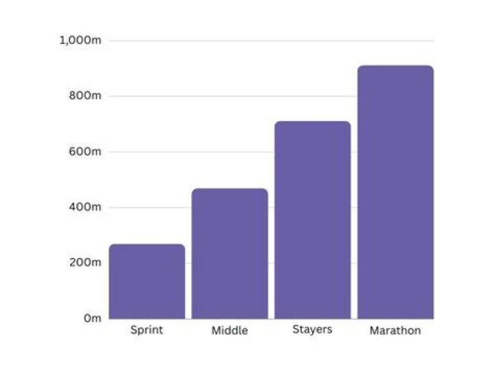 What are the different race distances?