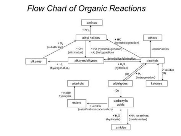 What are the different types of organic reactions and mechanism?