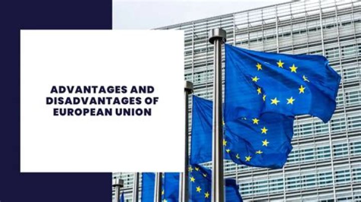 What are the disadvantages of European Union?