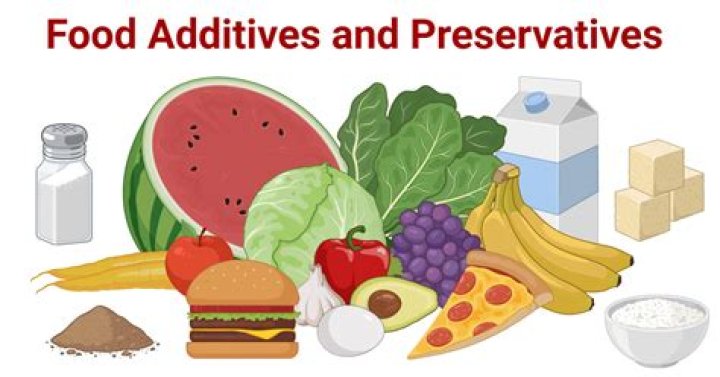 What are the examples of food additives
