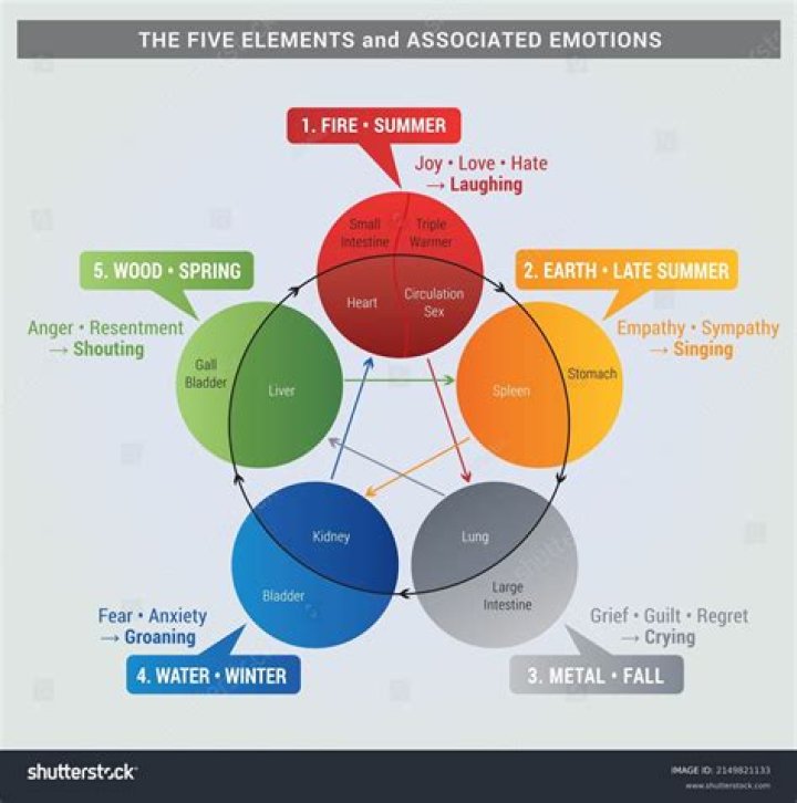 What are the five elements of emotions?