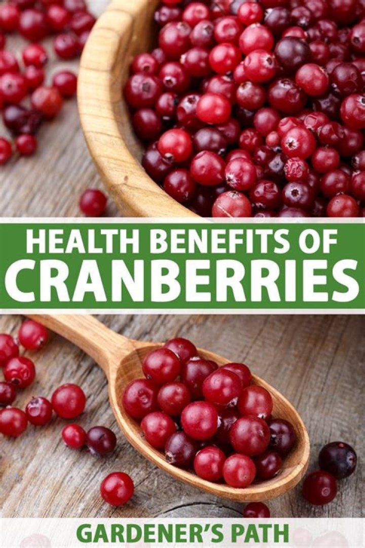 What are the health benefits of cranberries?