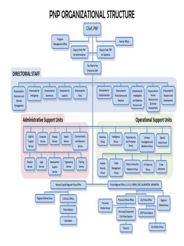 What are the key positions in the PNP organizational structure?