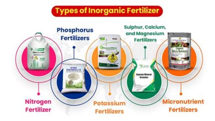 What are the most popular fertilizers?