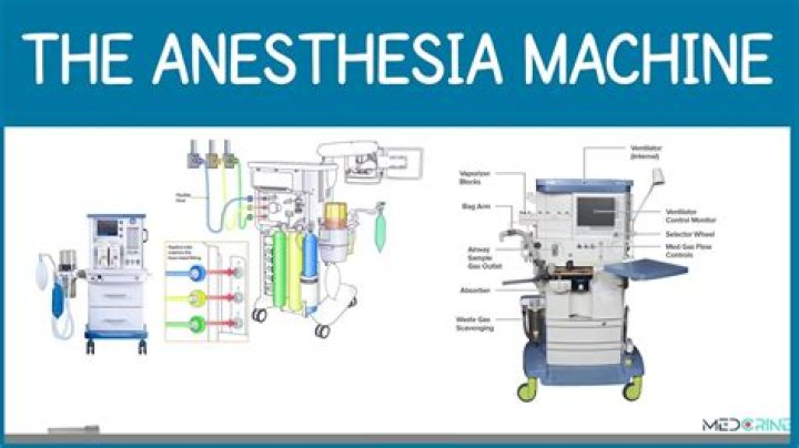 What are the parts of the anesthesia machine?