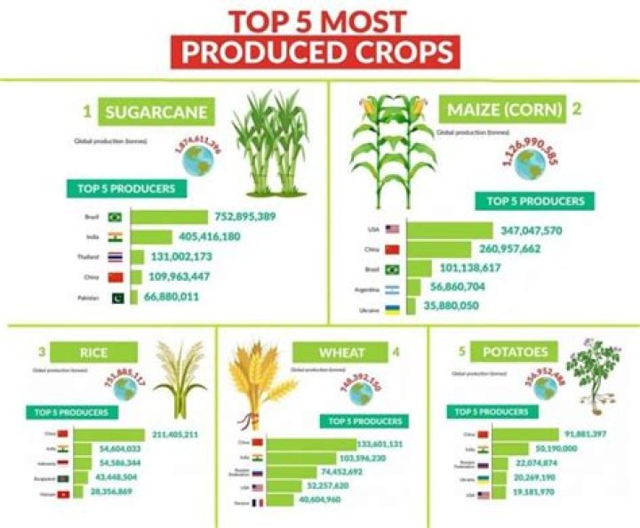 What are the top 5 agricultural crops grown in Alabama?