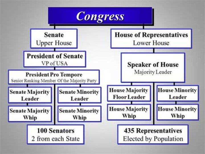 What are the upper and lower houses of Congress?