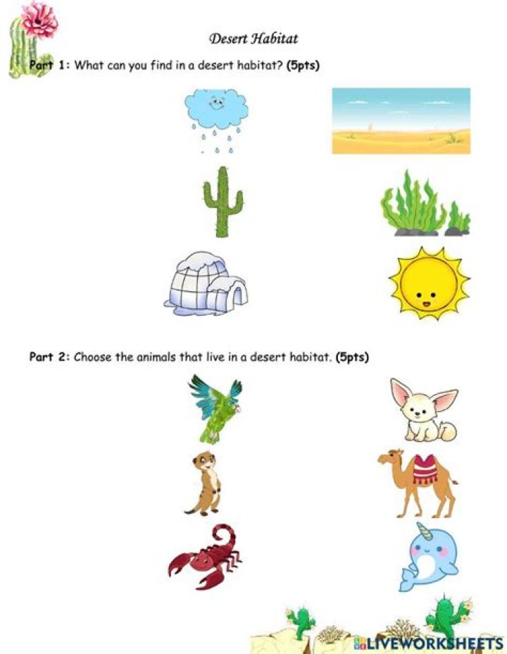 What are the words related to desert?