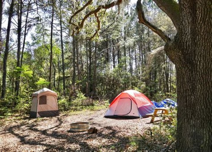 What campgrounds are in Idyllwild?