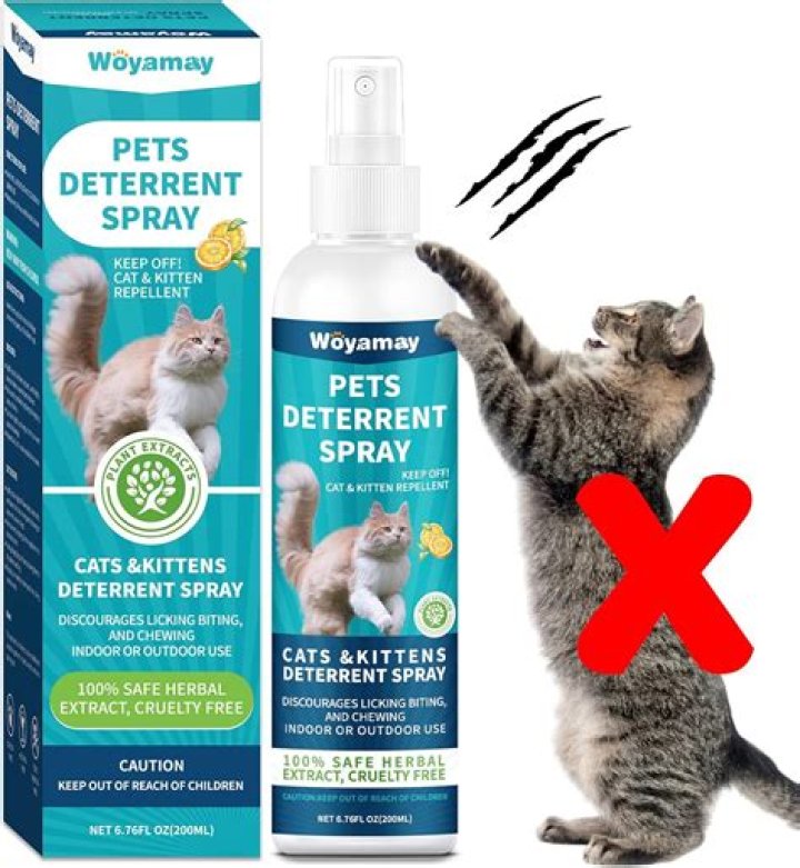 What can I spray in my yard to keep cats away?
