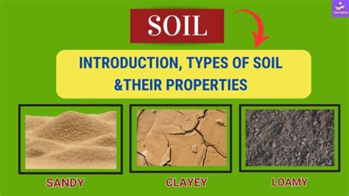 What can soil be used for