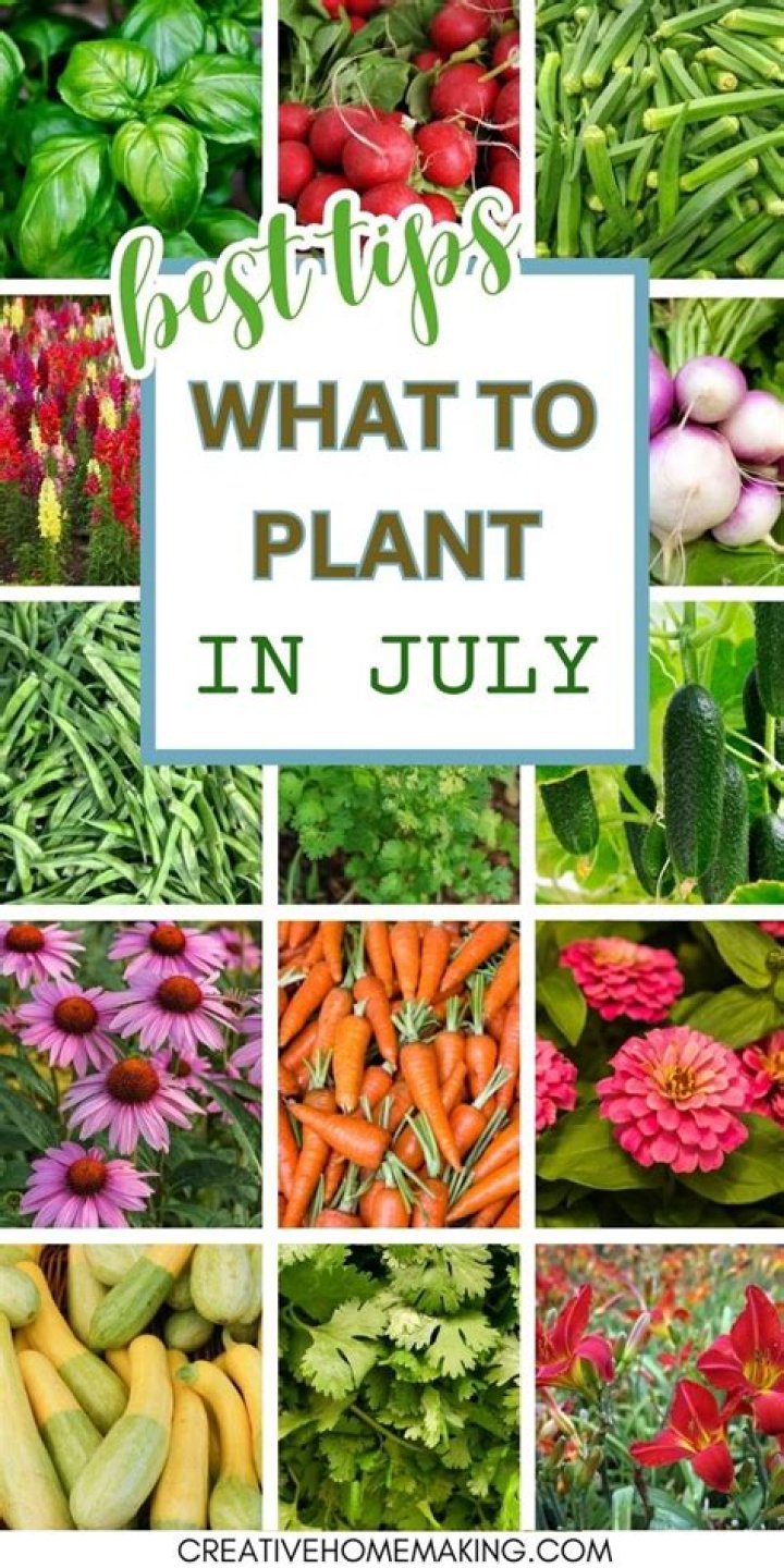 What can you plant in July in Oklahoma