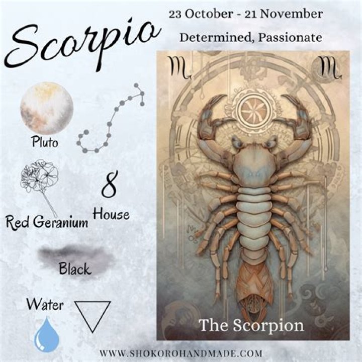What cat is a Scorpio?