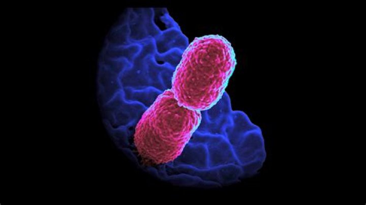 What causes Donovanosis