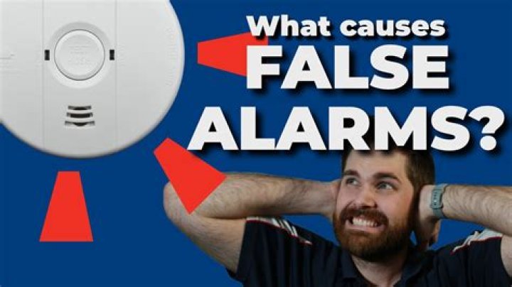 What causes false alarms on motion detectors?