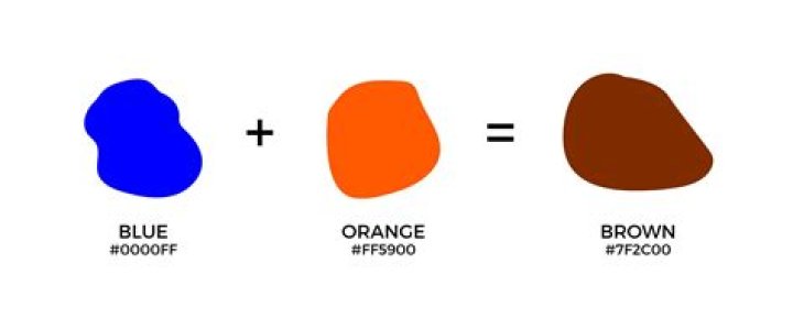 What colors does Fusion paint come in