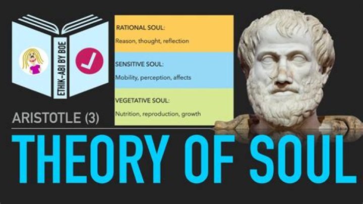 What did Aristotle say about metaphysics?