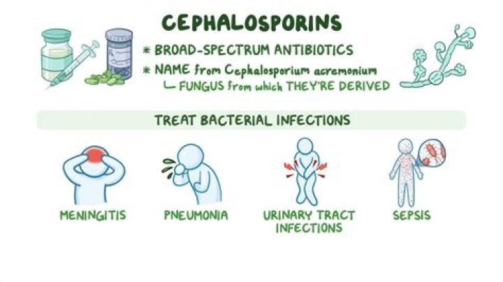 What do cephalosporins cover?
