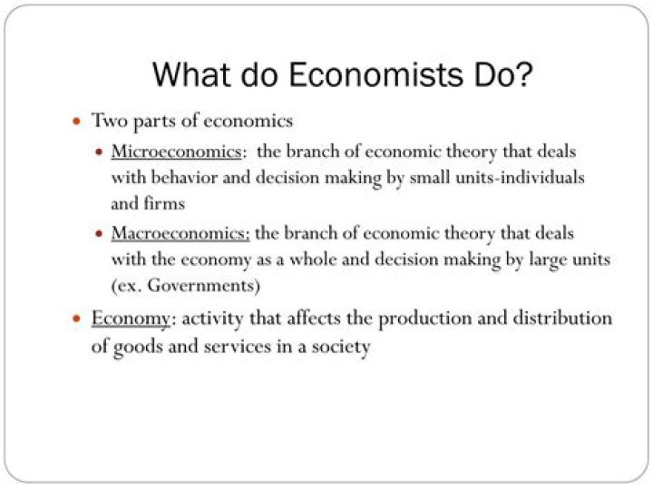 What do economists do?