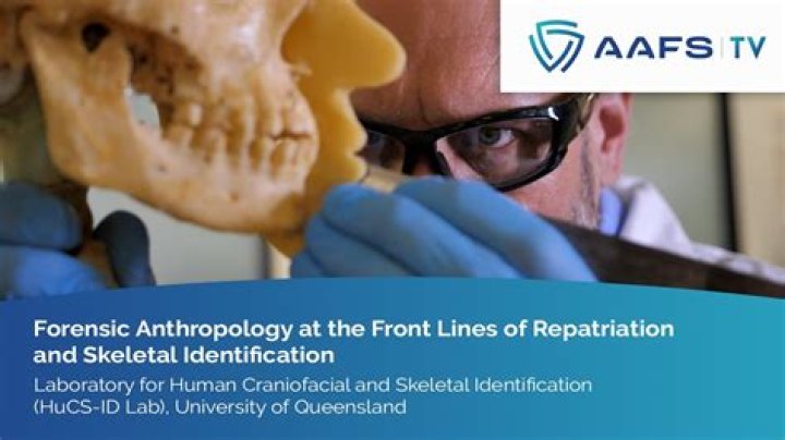 What do Osteologists study?