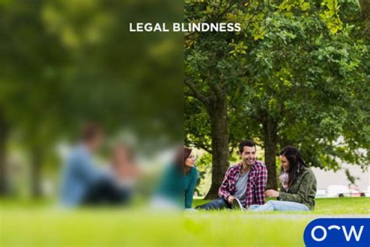 What does a half blind person see?