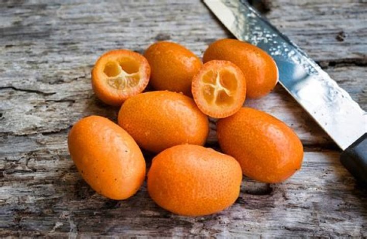 What does a kumquat taste like?