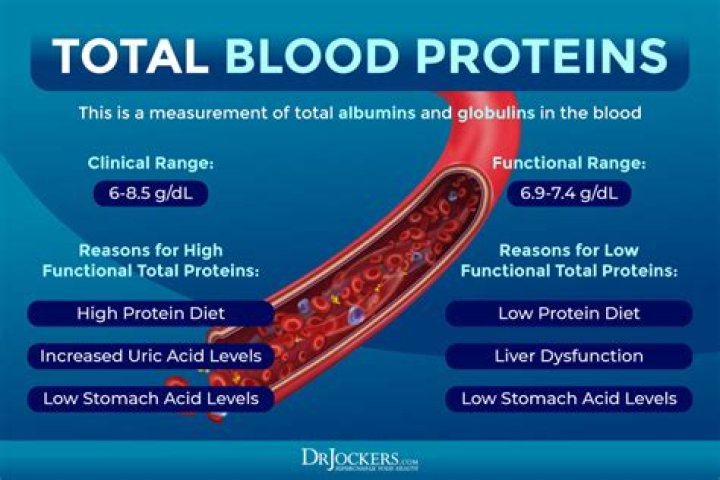 What does a low total protein level mean