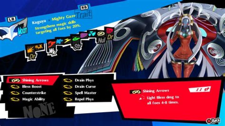 What does a picaro mean?