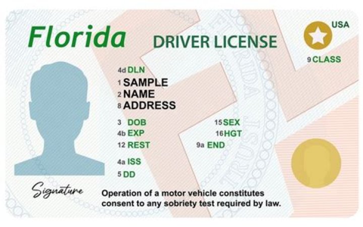 What does BPO mean on Florida drivers license