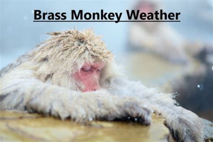 What does brass monkey weather mean?