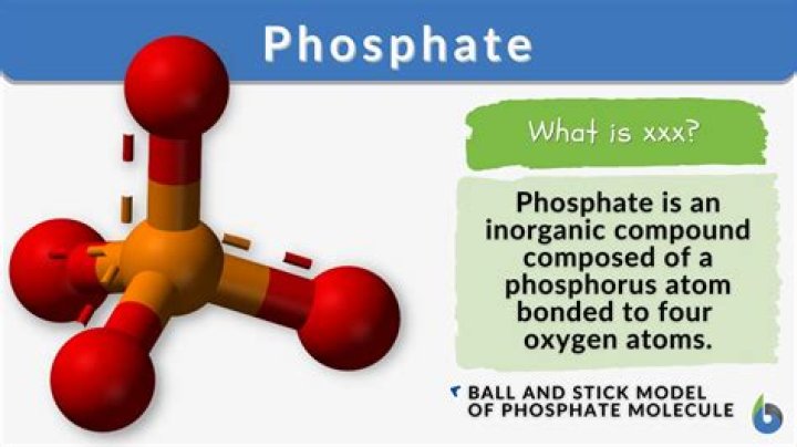 What does inositol phosphate do?