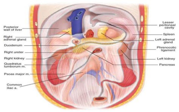 What does intra EU mean?