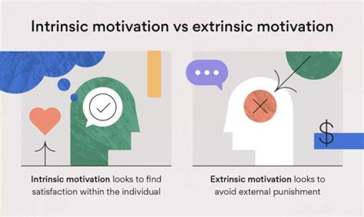 What does intrinsic refer to?