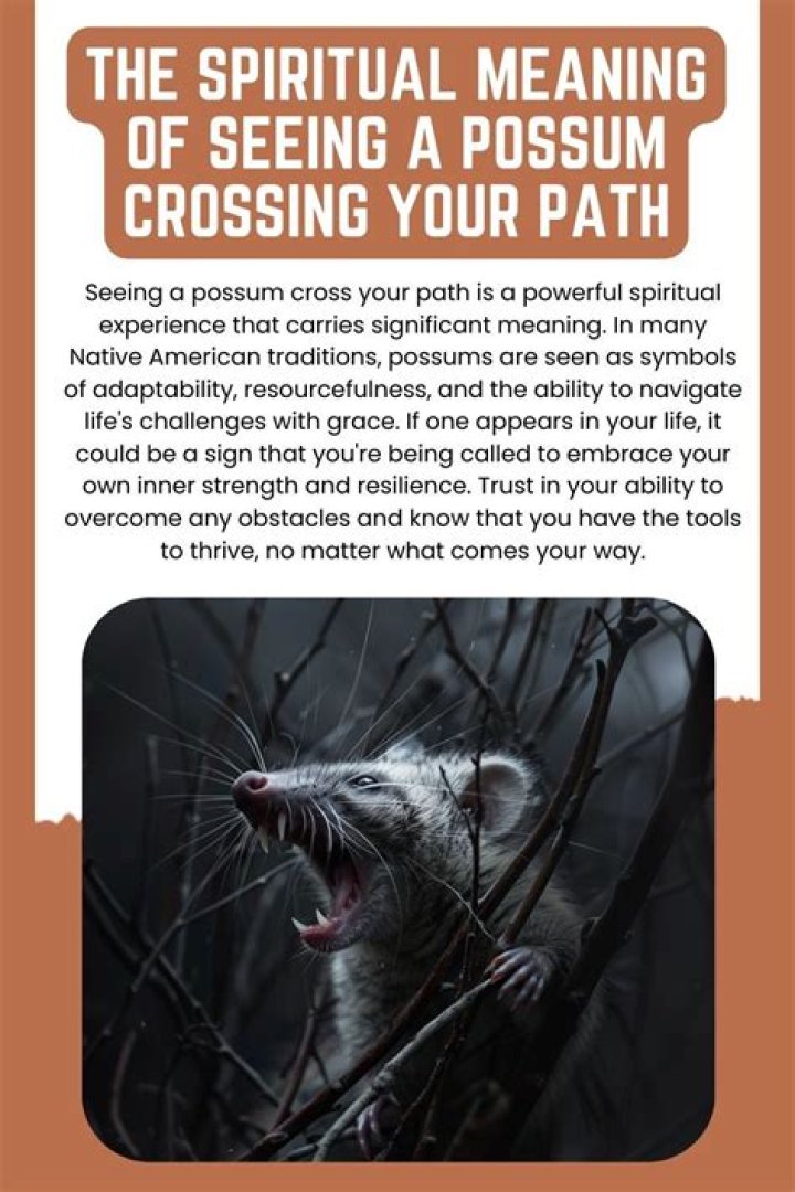 What does it mean when a groundhog crosses your path