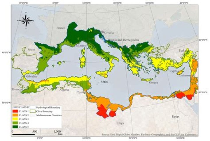 What does Mediterranean climate mean in geography